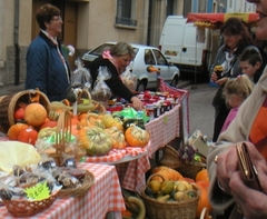 equipage haroue.jpg equipage haroue.jpg