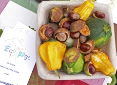 equipage marrons (1).jpg equipage marrons (1).jpg