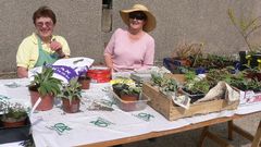 Equipage diarville Fas activites 2.jpg Equipage diarville Fas activites 2.jpg